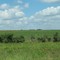 Hay bales in southern Missouri