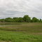 Swan Lake NWR