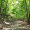 NCR/Heritage Trail Shaded area just north of MD/PA line