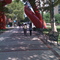 University of Pennsylvania campus