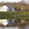 The Farm