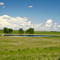 Prairie Pothole