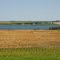 North Dakota Landscape on I94