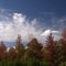 Begining of Fall- Knightdale NC