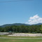 Harmon Field