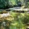 Cove Creek Near Big Bradley Falls