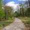 Patriot's Path by Pocahontas Lake