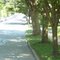Franklin Street current-state view