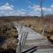 Basking Ridge, The Great Swamp, 07920