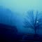 An foggy morning John P. Stevens High School (2013)