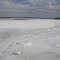 Frozen Cohansey River