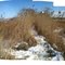 The End of the Dike