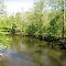 Paulinskill Creek Upstream from RR Bridge #1