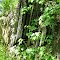 Paulinskill Valley Trail Outcrop