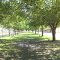 Trees line where the tracks once ran----st