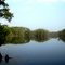 Save Philadelphus, save Buie Pond