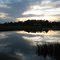 From our dock !