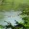 Mt. Pisgah State Park