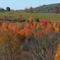Fall Countryside above Owego, NY