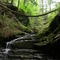 The falls