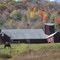 Barn on Lindloft Rd.