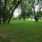 Hickories Park, Owego, NY