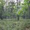 Southaven County Park