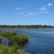 Big Fish Creek Pond, Wertheim National Wildlife Refuge