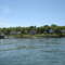 Steppingstone Marina