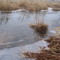 flooded frozen grass, Boathouse Park