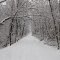 Conewago Recreation Trail