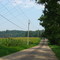 Ohio Road