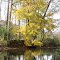 Clear Fork @ Gatton Rock