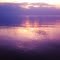 Purple Water