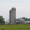 Dairy Farm