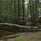Alan Seeger Natural Area