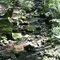 shaver Creek environmental center Creek