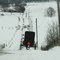 Renno Amish Buggy in Snow