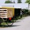 Amish Buggies