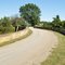 S Bridge