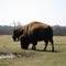 Pawnee Bill Ranch