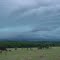 spring storm over mare pasture