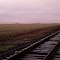 Railroad tracks and grass seed fields