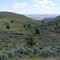 The Road to Antelope