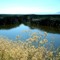 Klamath Basin NWR, Oregon (08-2003)