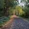 Banks-Vernonia State Trail