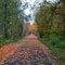 Banks-Vernonia State Trail