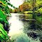 Lackawanna River