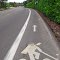 Lady golfer bike lane stencil