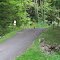 Bike Trail, M.K. Goddard State Park, Pennsylvania